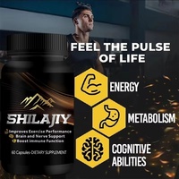 Capsules Énergétiques en Gros OEM à Marque Privée, Extrait d'Ashwagandha et de Shilajit de l'Himalaya, Force 10 en 1