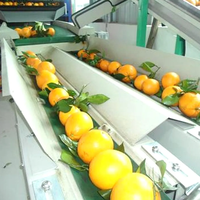 Convoyeur à vis haute efficacité pour le transport de fruits et de matériaux en usine alimentaire