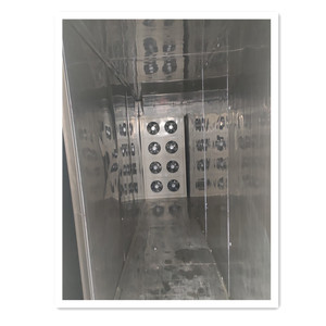 Lemon slices dryer, Banana Chips dryer, Vegetable, Fruits, Seafood Dehydrator Heat Pump Dryer - Product Image 4