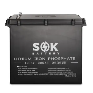 Cassa di plastica della batteria del fosfato del ferro del litio di SOK 12 v206 con il riscaldatore incorporato per RV/Van, immagazzinamento di energia solare residenziale.