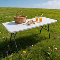 Tables d'extérieur robustes pour événements, tables de camping basses, tables de pique-nique pour le parc