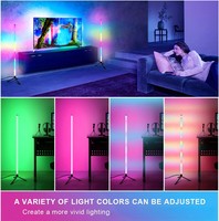 Lampes d'angle sur pied Chambre à coucher LED Décoration de chevet Salon Art Décor Télécommande Intérieur Fête Stand Éclairage RGB Lampadaire