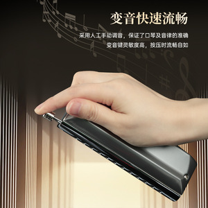 Armónica Cromática Feifan U48 de 48 Notas y 12 Orificios, Instrumento Musical para Principiantes y Avanzados con Caja de Regalo - Product Image 2