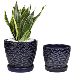 <span class=keywords><strong>Macetas</strong></span> suculentas de flores pequeñas <span class=keywords><strong>para</strong></span> decoración del hogar, bandeja de porcelana, <span class=keywords><strong>macetas</strong></span> de cerámica <span class=keywords><strong>para</strong></span> plantas de interior - Product Image 1