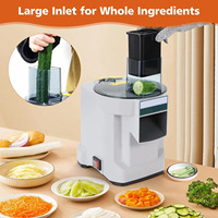 Hachoir Automatique Multifonctionnel en Acier Inoxydable pour Légumes et Fruits, Coupe-Cubes 3-en-1, 220V/50Hz, pour Usines de Transformation de Fruits