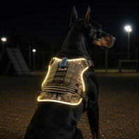 Harnais et laisse pour chien LED Qcool, réfléchissants et lumineux, en nylon réglable, accessoires pour animaux de compagnie, pour la marche nocturne, vente en gros OEM ODM