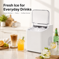 Machine à glace pilée multifonctionnelle élégante et silencieuse pour les fêtes de famille, préparation de desserts et boissons fraîches maison