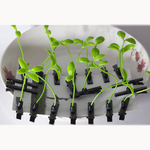 Divertente pianta verde Mini fagiolo fermagli per capelli alla moda creativi accessori per capelli per bambini regali realizzati in resina plastica resistente - Product Image 4