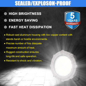 100W <b>Explosion</b> <b>Proof</b> Lighting IP66 Waterproof Triproof Lamp Hazardous Industrial Warehouse LED <b>Explosion</b> <b>Proof</b> <b>Light</b> - Product Image 5