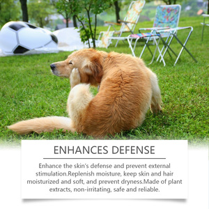 Shampoo anti-démangeaisons pour chien YEGBONG |   Apaise les démangeaisons cutanées, réduit la perte de poils - Formule à l'huile de coco et à l'aloe vera pour chiens - 100ML Pet Groo - Product Image 4