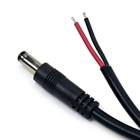 Prise d'alimentation mâle DC5521 5,5*2,1 mm avec extrémité de câble ouverte, 200 cm, 22AWG, pour encodeur vidéo, décodeur vidéo