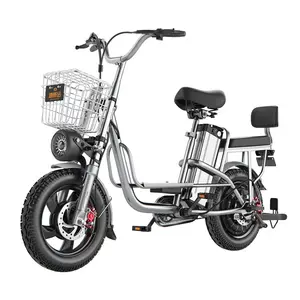성인 전기 자전거 16 인치 휠 500W 48V 60V 15AH 20AH 30AH 도시 도로 이동성 전기 산악 자전거 더블 시트 전자 자전거
