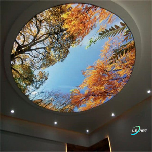 Plafonds suspendus en PVC LeArt Project pour salle de bain, dalles de plafond suspendu, film imprimé en 3D, <span class=keywords><strong>prix</strong></span> du plafond tendu - Product Image 4