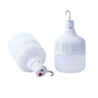 Lampes de camping portables d'extérieur, lampes d'urgence T80 10W 20W 30W 40W 50W, ampoule LED rechargeable avec crochet pour terrasse