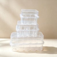 En stock – Boîtes personnalisées en plastique transparent pour flacons de 3 ml, 13 ml, 3-10 ml, 2 x 10 ml – Étui de rangement de voyage pour flacons Cillin – Supports pour flacons en matériaux recyclés