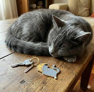 Llaveros con Logotipo Personalizado, Dijes <span class=keywords><strong>Baratos</strong></span> en Relieve, Regalos <span class=keywords><strong>de</strong></span> Recuerdo Personalizados, Llaveros <span class=keywords><strong>de</strong></span> Metal con Esmalte Duro - Product Image 4