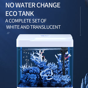 Vente chaude Fish Tank <span class=keywords><strong>Aquarium</strong></span> Plante Transparent En Plastique Fish Tank Décor De Bureau Écologique Petit <span class=keywords><strong>Aquarium</strong></span> Led Verre <span class=keywords><strong>Aquarium</strong></span> - Product Image 6