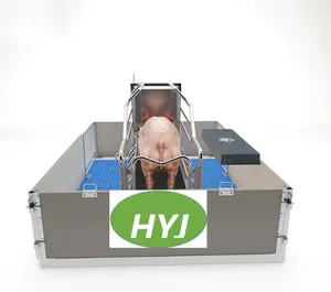 Kunden spezifische Schweines tall Schwein Abferkel maschine Schweine fütterung maschine
