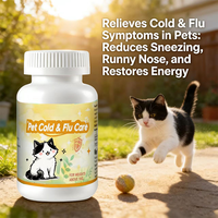 Suplementos Probióticos para el Bienestar Canino OEM ODM, Suplementos para el Cuidado de Mascotas con Resfriado y Gripe