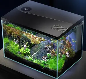 Fish Tank Living Room Small Fish Tank Small Glass Water-free Landscaping Aquarium