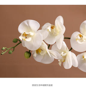 F-B0006 soie plante décoration de la maison papillon <span class=keywords><strong>orchidée</strong></span> fleur artificielle Phalaenopsis <span class=keywords><strong>fausse</strong></span> Table fleur décorative - Product Image 3