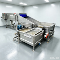 Laveuse commerciale à bulles d'air et à rouleaux brosse pour gingembre, patate douce et pommes de terre, pour usine de transformation alimentaire