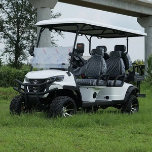 Carrito de Golf de Alta Gama 2025 con Colores Personalizables, 4 Plazas, Motor de 3500W-7500W, Batería de Litio, 30-50 km/h, Autonomía de 50-70 km, para 4 Personas - Product Image 5