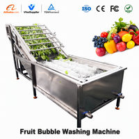 Automatische Fruit-En Groentebubbelwasmachine