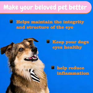 Suplementos para el Cuidado de la Salud Ocular de Perros y Gatos, Lecitina Masticable Suave para la Salud de la Visión - Product Image 2