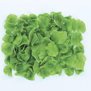 Hot bán mất nước rau không khí khô Rau diếp Flakes - Product Image 6