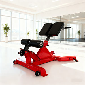 Chaise réglable d'<span class=keywords><strong>hyperextension</strong></span> d'équipement de forme physique de banc d'extension de dos de 45 degrés de nouvelle conception commerciale pour la <span class=keywords><strong>musculation</strong></span> - Product Image 1