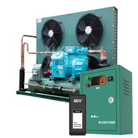 Unité de condensation à compresseur semi-hermétique à mouvement alternatif refroidie par évaporation à choix multiples pour chambre froide de congélation rapide