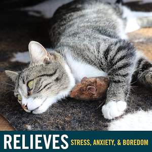 צעצוע חתולים אינטראקטיבי בצורת עכבר, ידידותי לסביבה, עם צליל אלקטרוני, עיצוב עכבר אמיתי, למשחק ופעילות של חתולים בבית. - Product Image 4