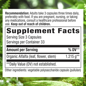 Cápsulas de Alfalfa Orgánica OEM/ODM con Vitaminas y Minerales, Suplemento para Mejorar el Sistema Inmunológico - Product Image 3