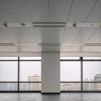 Plafonds en alliage d'aluminium pour la décoration moderne des bureaux, villas, appartements, aéroports - Panneaux de plafond standard durables