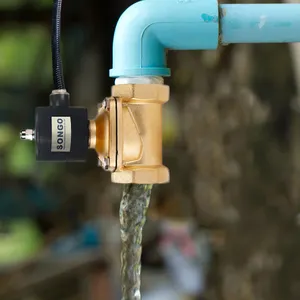 Campione gratuito Normalmente chiuso in ottone elettrico 12v 24v 220V 1 2 3 pollici per il controllo di acqua due modo di acqua magnetico solenoide valvola