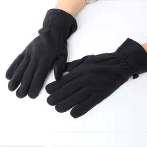 Manufacturer Supplier Ladies Fashion Winter Gloves With Polar Fleece