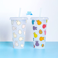 Gobelets en plastique PP de qualité alimentaire de 24 oz, durables, changeant de couleur, avec couvercles et pailles, pour fêtes et festivals, vente en gros