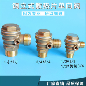 Clapet anti-retour 1/2 pouce en cuivre pour gaz et air comprimé, usage général - Product Image 5