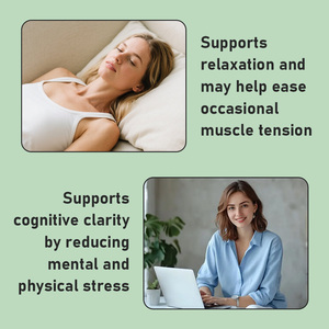 Gélules OEM ODM anti-stress à l'extrait d'ashwagandha et à l'extrait de mélisse pour calmer les tensions mentales et favoriser la concentration – Complément alimentaire - Product Image 3