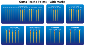 Vendita a caldo endodontica punti di guttaperca dentale/carta assorbente dentale con marchio - Product Image 6