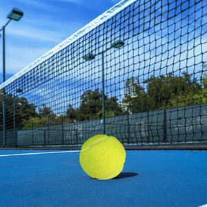 Özel profesyonel eğitim tenis topları Set sarı Padel tenis topu kauçuk yün Balle De tenis spor eğlence için - Product Image 6