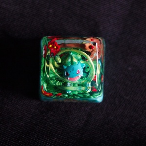 Keycaps de clavier mécanique en résine imprimée en 3D, motifs Pokémon Bulbasaur et Squirtle, usinage CNC - Product Image 2