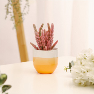 Mini Cactus <span class=keywords><strong>Bonsaï</strong></span> Céramique Succulente Planteur Conception Panachée pour Balcon Décor Décoration de La Maison Miniature Style Minimaliste <span class=keywords><strong>Pot</strong></span> - Product Image 5