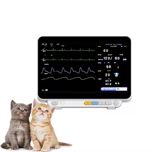 Tierklinik Tierklinik Berufsbild ung Medizinischer Multi parameter SPO2/PR/NIBP/ETCO2 Vital Sign <span class=keywords><strong>Monitor</strong></span> - Product Image 5