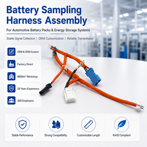 Câble de collecte de données de batterie pour faisceau de câbles BMS de VE personnalisé, assemblage OEM ODM, fabricant certifié IATF16949 - Product Image 1