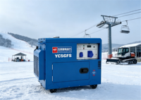 Générateur diesel super silencieux 5 kW 5000 W, groupe électrogène diesel portable, alimentation de secours domestique, démarrage électrique, moteur refroidi par air, AVR 230 V 1800 tr/min