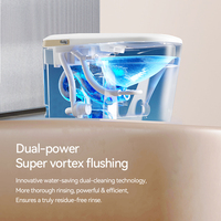 Cuvette de toilette intelligente haut de gamme en céramique à lumière douce, avec lavage frontal, double chasse d'eau, toilettes automatiques intelligentes pour salle de bain avec télécommande