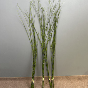 LE-322 Vente en gros de branche de roseau artificielle, faux <span class=keywords><strong>tige</strong></span> de <span class=keywords><strong>bambou</strong></span> mince pour la décoration d'hôtel, arrangements de plantes en pot - Product Image 2