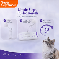 Kits de dépistage rapide du coronavirus félin pour animaux de compagnie, tests vétérinaires rapides pour chats, kits de dépistage rapide du coronavirus félin FCOV